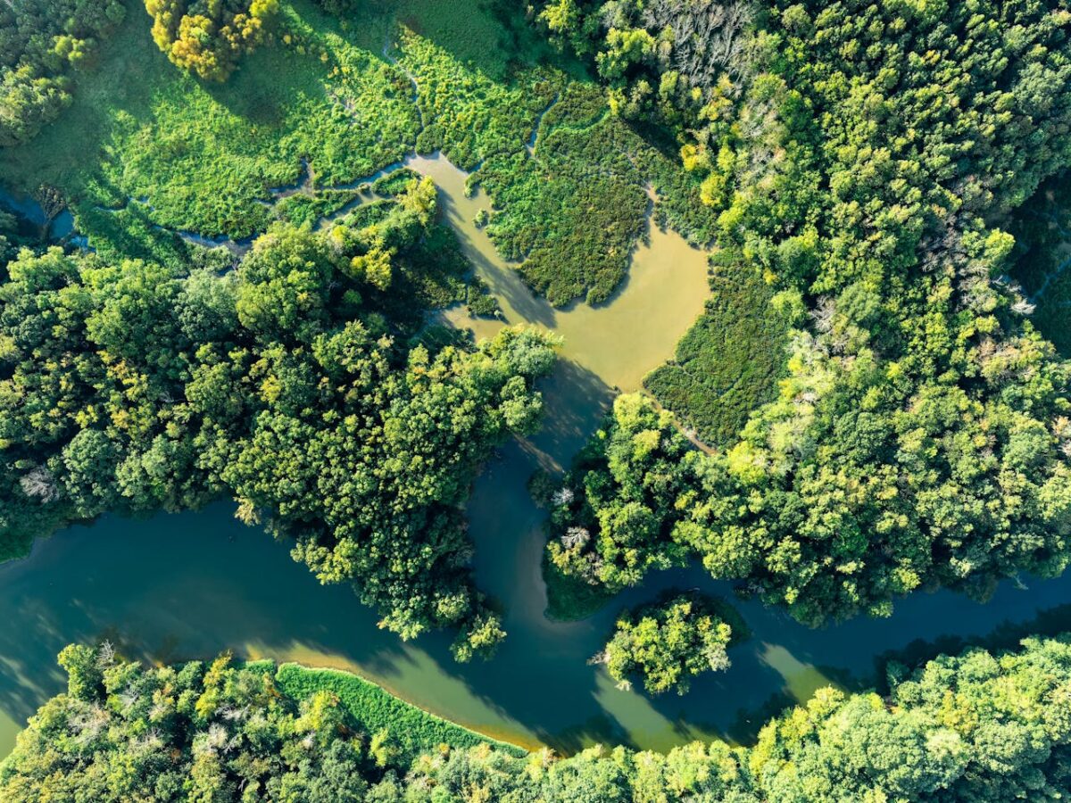 Stunning aerial view of a lush green forest surrounding a winding river in Chattanooga, Tennessee.